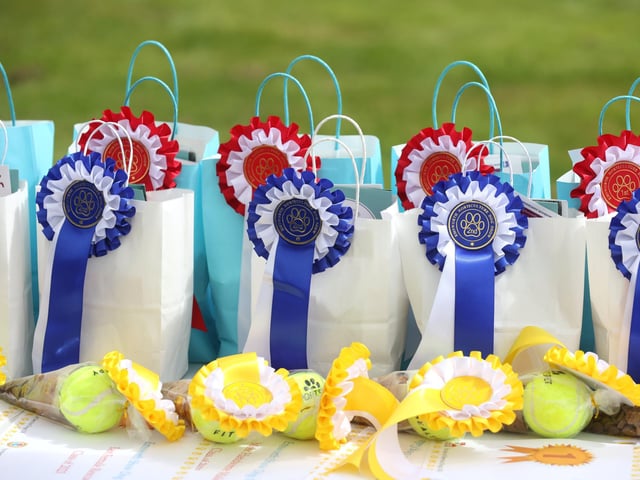 The Emsworth Show taking place on August Bank Holiday Monday in the sunshine. Pictured is action from the event.
Monday 28th August 2023.
Picture: Sam Stephenson.