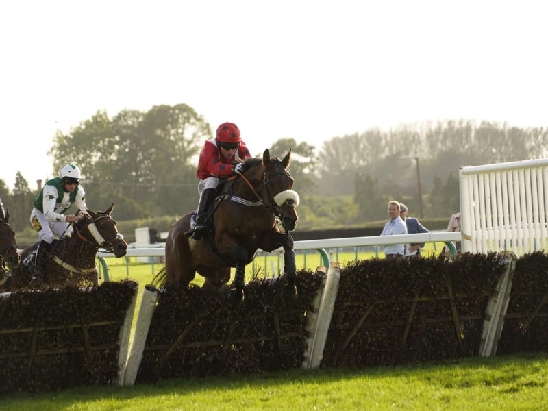 Action and other images from Fontwell Park's Beer and Cider Festival racedays, staged in the sunshine on Friday and Saturday