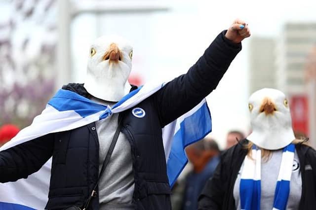 Brighton fans at Wembley