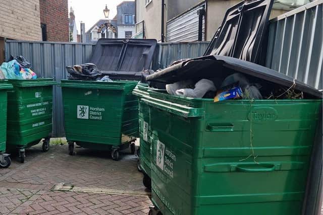 Horsham District Council wants to build a £120,000 roofless brick-built store for the bins in Park Place