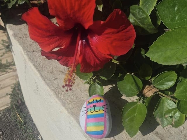 People were asked to paint a rock and take it on holiday with them, 'so Millie can go anywhere and everywhere'
