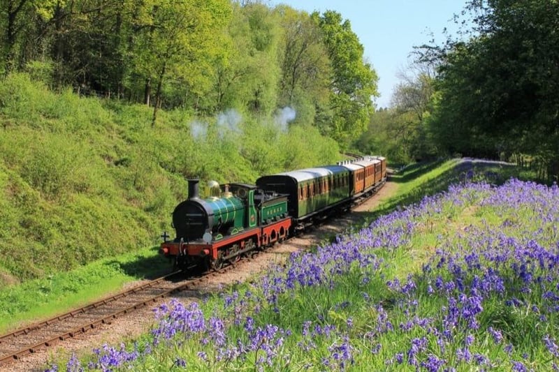 A steam train running on the Bluebell Railway
