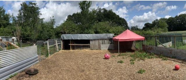 The rescue centre currently has two large farm animal pens and shelters.
