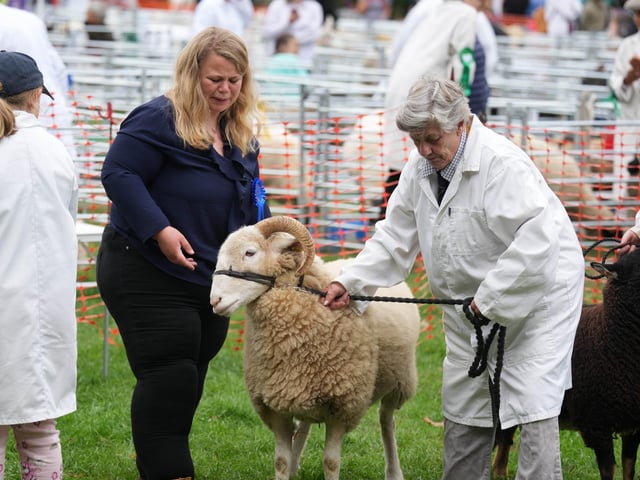 Findon Sheep Fair 2026