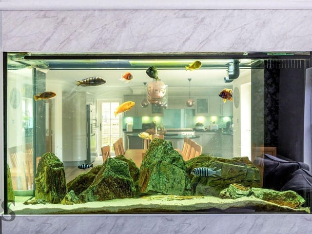 This unique architectural element forms a captivating connection