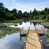 The Floating Pontoon at Sheffield Park and Garden's Waterlily Festival 