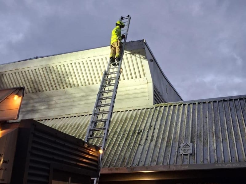 Bird rescued from roof of B&Q at Ravenside