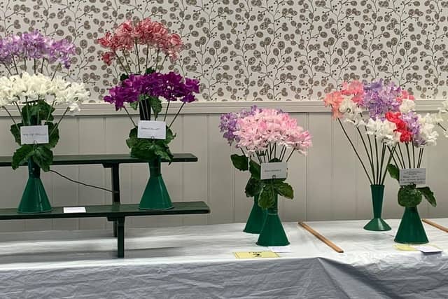 Superb sweet peas