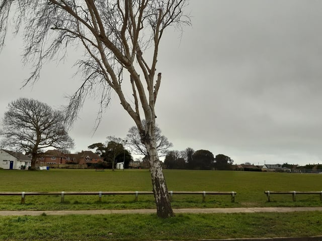 You will pass Glebelands Recreation Ground on your left
