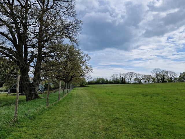 Continue on round, following the fence, until you come to a gate
