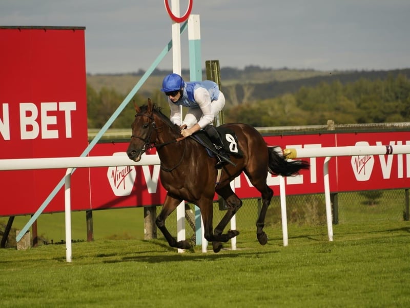 Goodwood Racecourse 2026 season finale