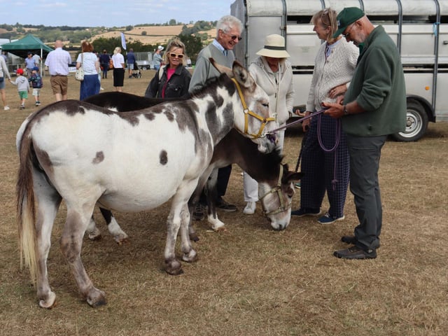 Rye Country Show 2026 in aid of St Michael's Hospice. Photo by Kevin Boorman
