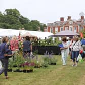 The Garden Show at Stansted Park takes place from June 10-12 (Photo by Habibur Rahman)