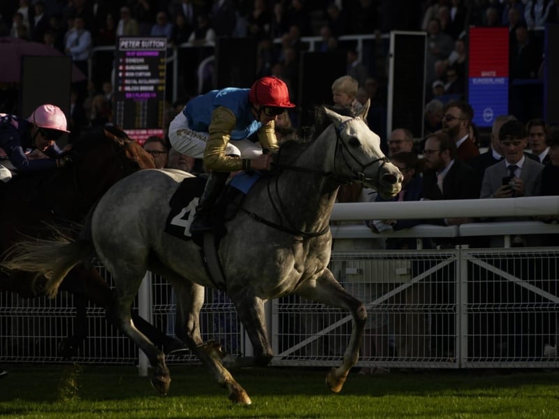 Goodwood Racecourse 2026 season finale