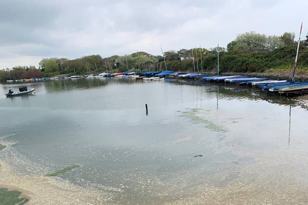 Southern Water says this pool of discoloured water could be the result of algal bloom.