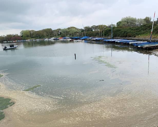 Southern Water says this pool of discoloured water could be the result of algal bloom.