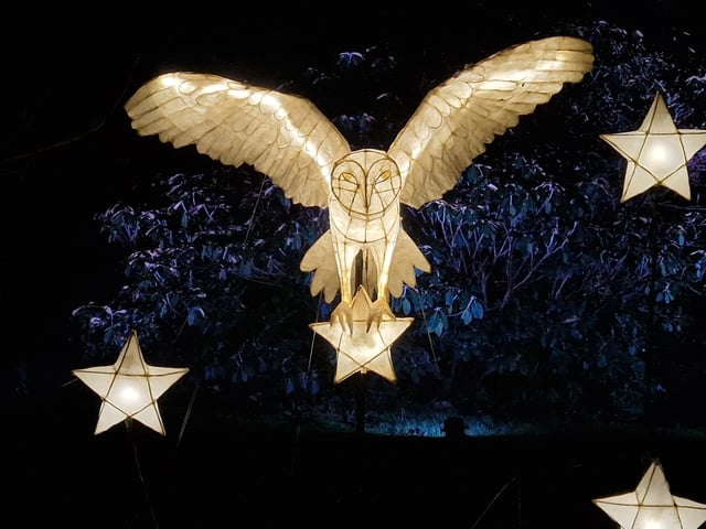 Leonardslee Lights 2024 transports guests into an enchanting world as the gardens come alive with stunning illuminations, captivating large-scale installations, mesmerising fountains and more