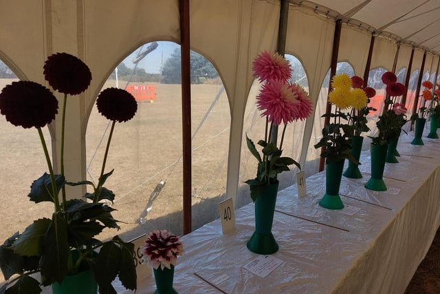 Scenes from the Yapton Cottage Gardeners’ Society annual flower show 2022