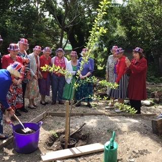 12 ladies from Eastbourne Sovereign Inner Wheel Club celebrated the jubilee by planting a plum tree in the gardens of Chalk Farm, Willingdon.