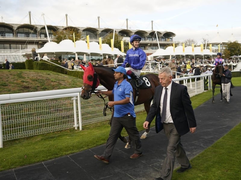 Goodwood Racecourse 2026 season finale