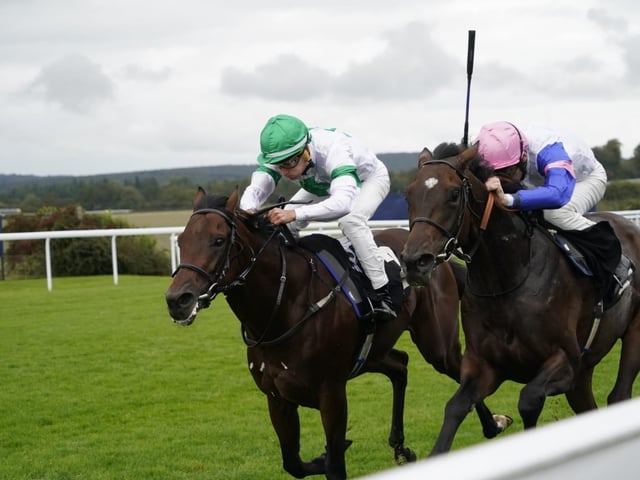 September midweek flat racing at Goodwood