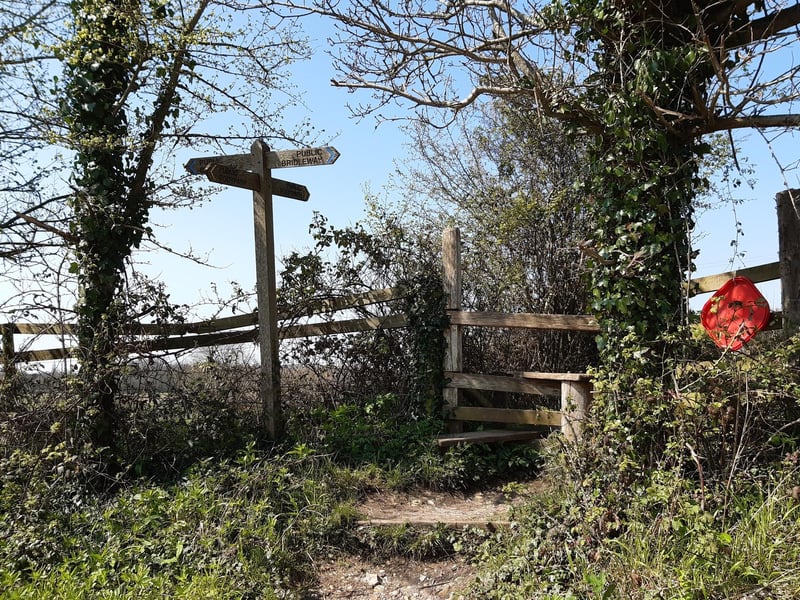 Look out for some steps on your right and a stile into the field.