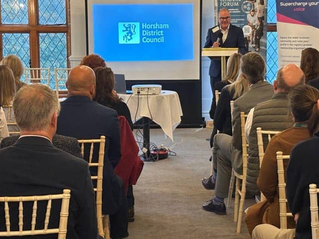 The Business Leaders Forum attracted some 50 business leaders and decision-makers from a range of different sectors across Horsham District, including Schroders, Red River Software, Kreston Reeves, Wilton Park and more. Picture courtesy of Horsham District Council