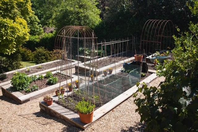 Raised vegetable garden