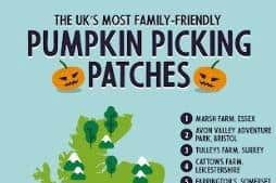 Tulleys Farm pumpkin patch named as one of the most ‘family-friendly’ patches in the UK