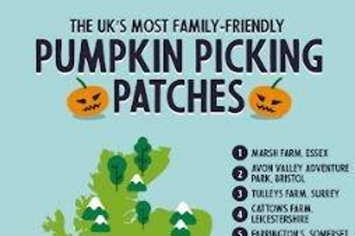Tulleys Farm pumpkin patch named as one of the most 'family-friendly' patches in the UK