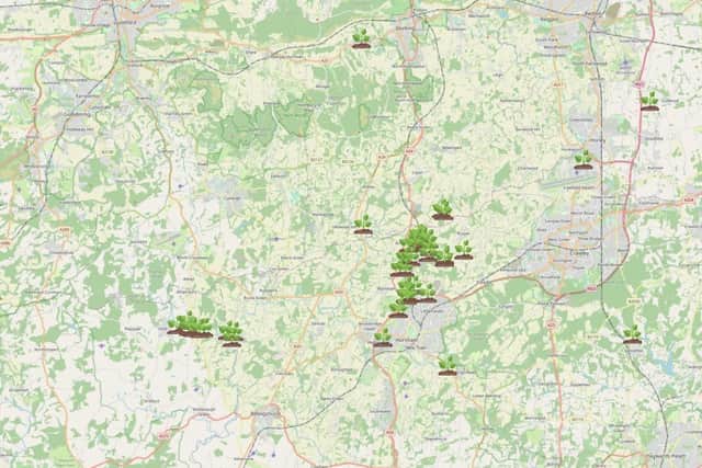 Places where Giant Hogweed has been reported in West Sussex