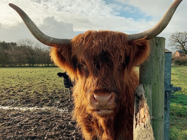 Sharnfold Farm