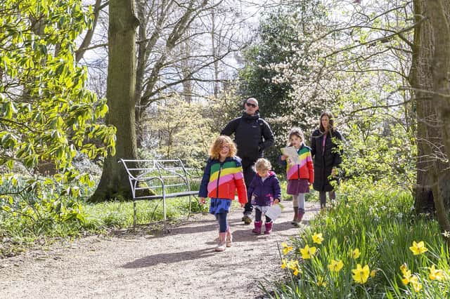 National Trust Easter trails in Sussex (photo by Annapurna Mellor)