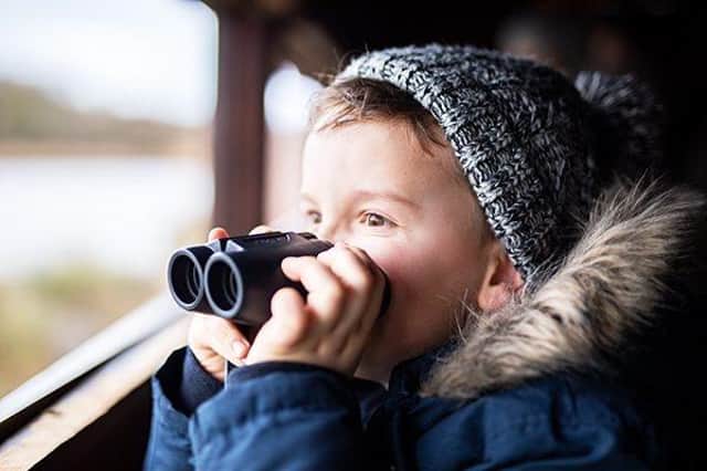 The wildlife hides at Arundel Wetland Centre are hideouts for families this February half term.