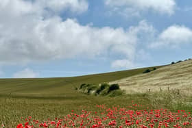 Near Norton Farm, Seaford