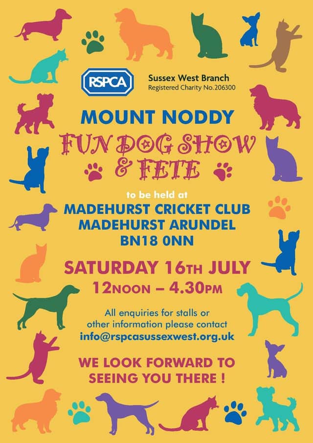 Mounty Noddy is set to host a Dog Show and Fete at Madehurst Cricket Club.