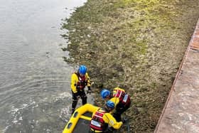 A Spaniel in distress named ‘Hendrix’ who was stuck on a mud bank in Pagham was saved by members of the Selsey Coastguard. Picture: Selsey Coastguard
