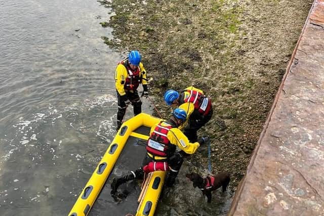 A Spaniel in distress named ‘Hendrix’ who was stuck on a mud bank in Pagham was saved by members of the Selsey Coastguard. Picture: Selsey Coastguard