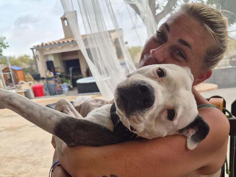 East Sussex woman sets up fundraiser for pet rescue.