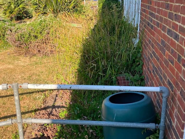 Before the Paul Wicks Garden Services free job