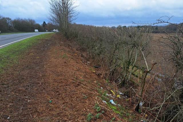 £150 on-the-spot fines are to be introduced for anyone caught dropping litter in the Horsham district