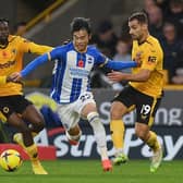 Brighton's Japan international Kaoru Mitoma was a constant menace to the Wolves defence during the Premier League win at Molineux