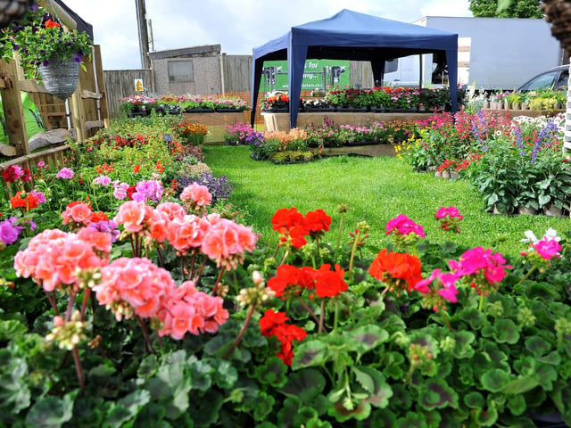 The South of England Show 2022 at Ardingly runs from Friday to Sunday, June 10-12