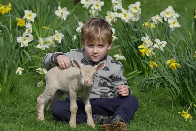 More than 1,200 lambs are expected at Coombes Farm near Lancing this spring and families are invited to visit to see them