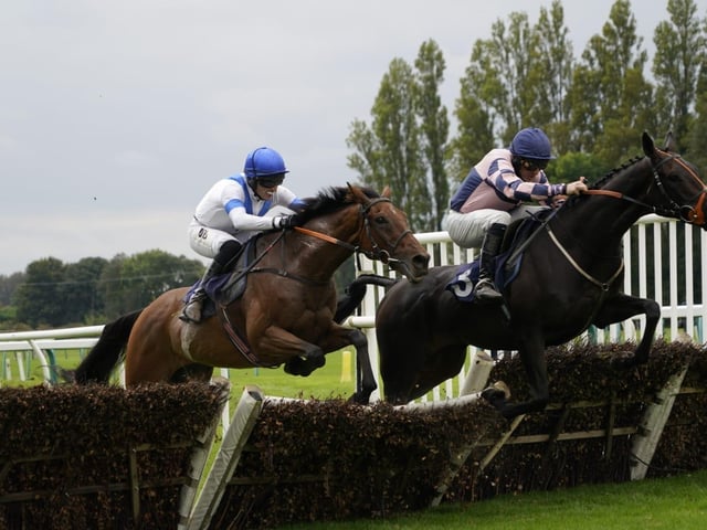 September jump racing at Fontwell Park
