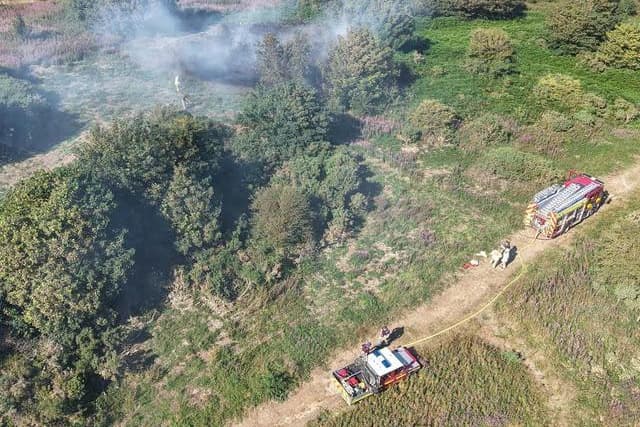 Sicherheitsdienst nach Graslandbrand in Eastbourne eingesetzt