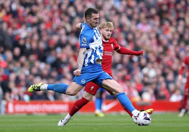 LIVERPOOL, ENGLAND - MARCH 31: Lewis Dunk of Brighton & Hove Albion during the Premier League match between Liverpool FC and Brighton & Hove Albion at Anfield on March 31, 2024 in Liverpool, England. (Photo by Alex Livesey/Getty Images)