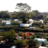 Eastbourne Allotments & Garden Society
