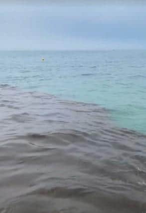 On Wednesday (August 17), sewage water was pumped out of Newhaven into the sea for five hours between 12pm and 5pm, affecting the bathing water at Seaford beach.