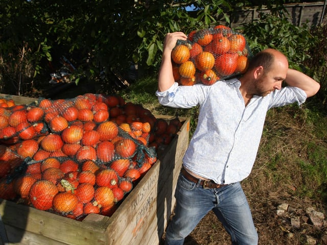 Mark Ford at work in 2016